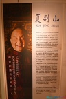 DSC 0593