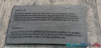 IMG 20230626 161914