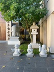 Image21