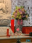 IMG-20231210-WA0038