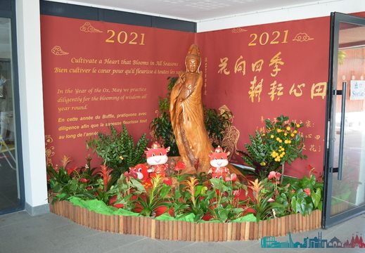 DSC 4603