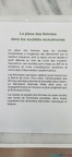IMG20211017152437