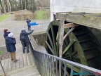 IMG 2919