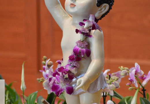 DSC 8237