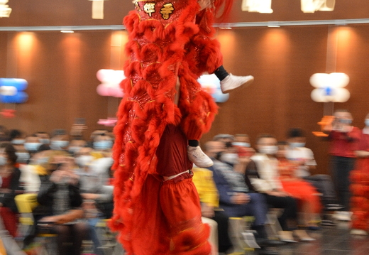DSC 8248