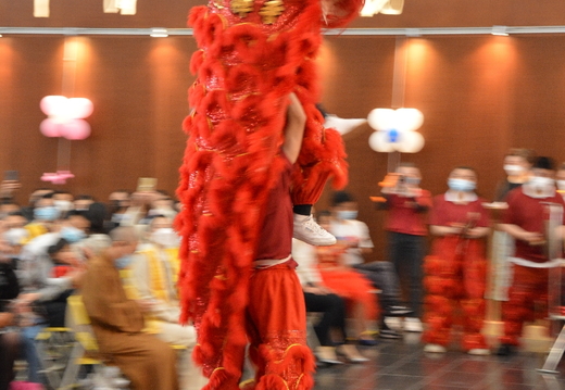 DSC 8249