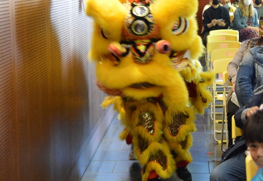 DSC 8286