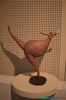 DSC 0371