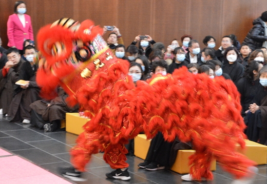 DSC 3506
