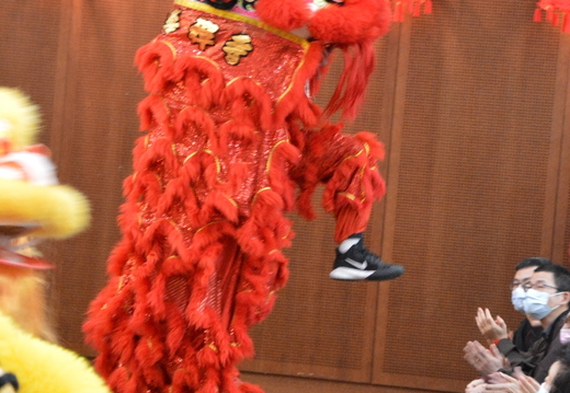 DSC 3510