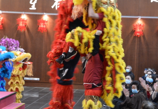 DSC 3515