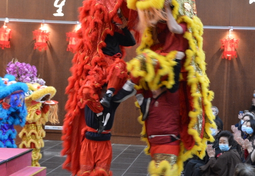DSC 3516