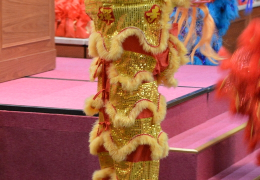 DSC 3517