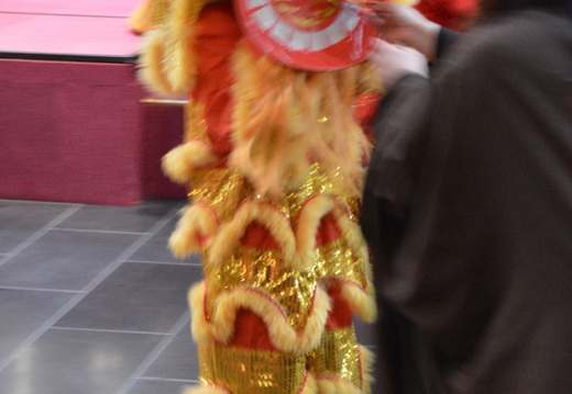 DSC 3520