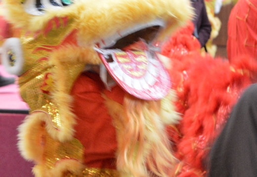 DSC 3522
