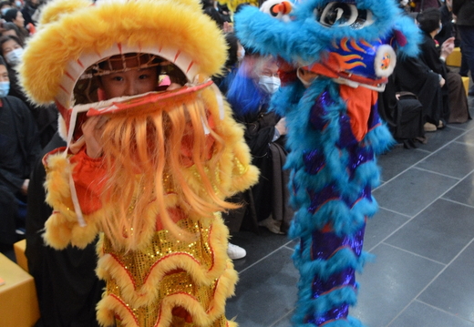 DSC 3530
