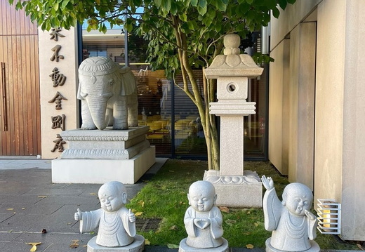 Image21