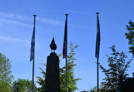 DSC 0126